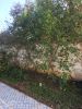 Location Villa Agadir Charaf