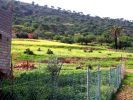 Vente Terrain Agadir Centre ville 300 m2