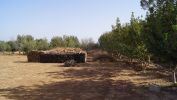 Vente Terrain Taroudant Centre ville