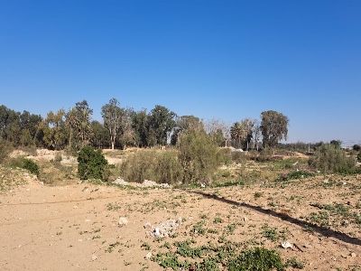 photo annonce For sale Land Centre ville Agadir Morrocco